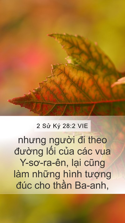 2 Sử Ký 28:2 VIE Bible Verse Image