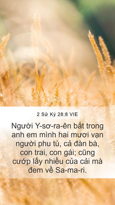 2 Sử Ký 28:8 VIE Bible Verse Image