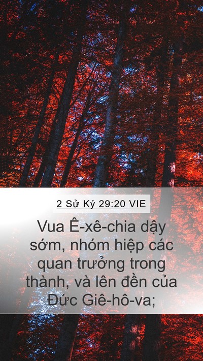 2 Sử Ký 29:20 VIE Bible Verse Image