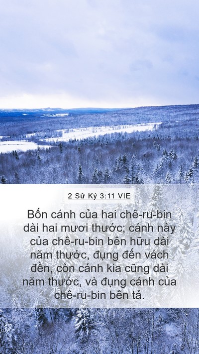 2 Sử Ký 3:11 VIE Mobile Phone Wallpaper - Bốn cánh của hai chê-ru-bin dài hai mươi - Mobile Bible Verse Wallpaper