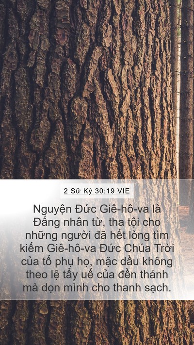 2 Sử Ký 30:19 VIE Bible Verse Image