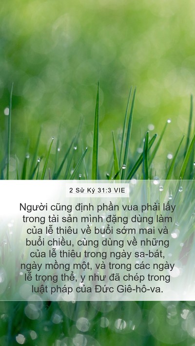 2 Sử Ký 31:3 VIE Bible Verse Image