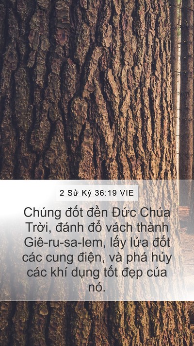 2 Sử Ký 36:19 VIE Bible Verse Image