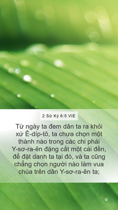 2 Sử Ký 6:5 VIE Bible Verse Image