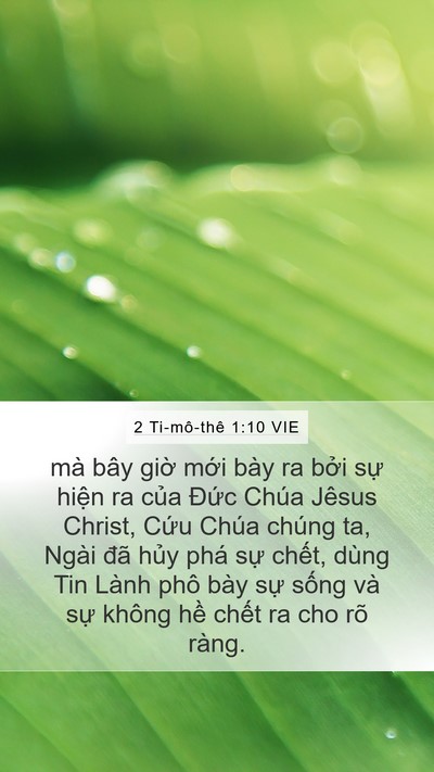 2 Ti-mô-thê 1:10 VIE Bible Verse Image