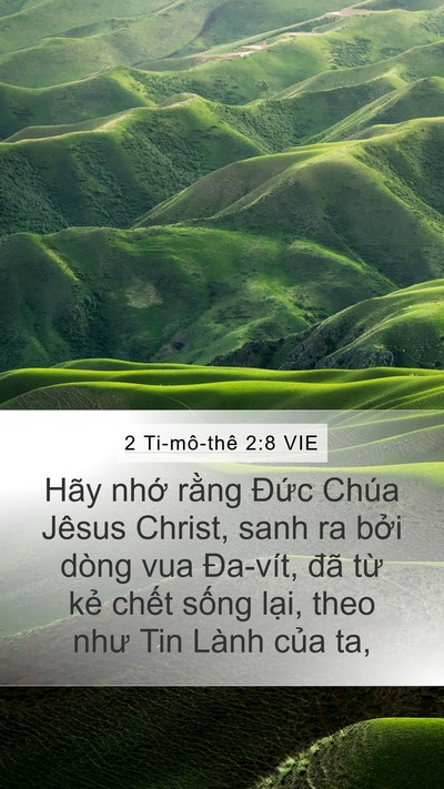 2 Ti-mô-thê 2:8 VIE Bible Verse Image