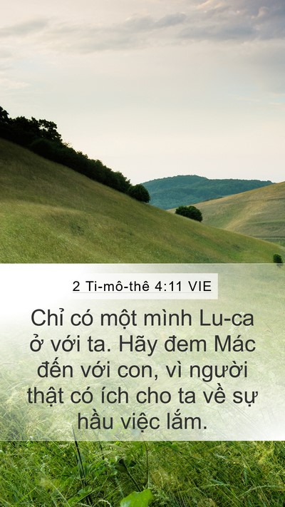 2 Ti-mô-thê 4:11 VIE Mobile Phone Wallpaper - Chỉ có một mình Lu-ca ở với ta. Hãy - Mobile Bible Verse Wallpaper