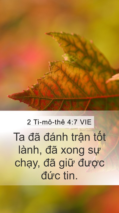 2 Ti-mô-thê 4:7 VIE Bible Verse Image