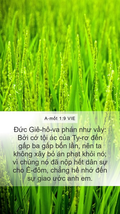 A-mốt 1:9 VIE Bible Verse Image