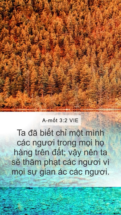 A-mốt 3:2 VIE Bible Verse Image