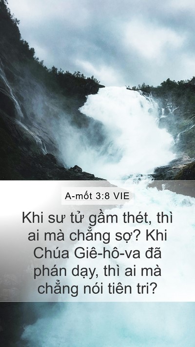 A-mốt 3:8 VIE Bible Verse Image