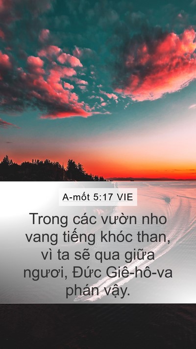 A-mốt 5:17 VIE Mobile Phone Wallpaper - Trong các vườn nho vang tiếng khóc than, - Mobile Bible Verse Wallpaper