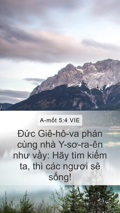 A-mốt 5:4 VIE Bible Verse Image