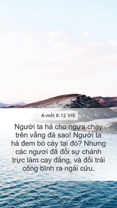 A-mốt 6:12 VIE Bible Verse Image