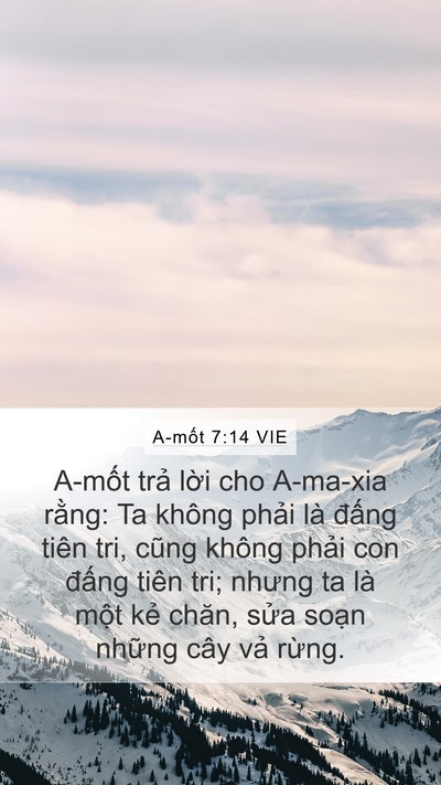 A-mốt 7:14 VIE Bible Verse Image