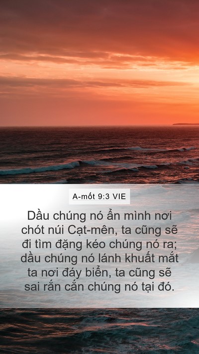 A-mốt 9:3 VIE Bible Verse Image