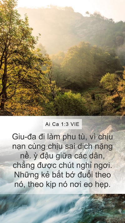 Ai Ca 1:3 VIE Bible Verse Image