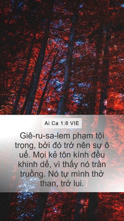 Ai Ca 1:8 VIE Bible Verse Image
