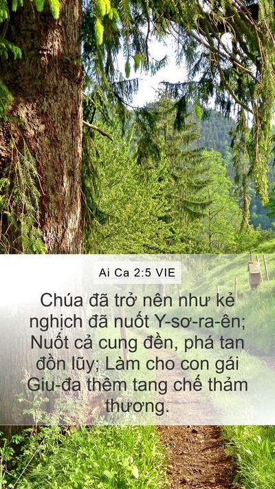 Ai Ca 2:5 VIE Bible Verse Image