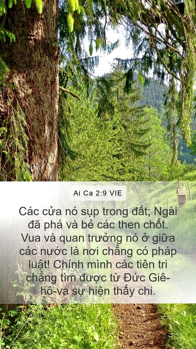 Ai Ca 2:9 VIE Bible Verse Image
