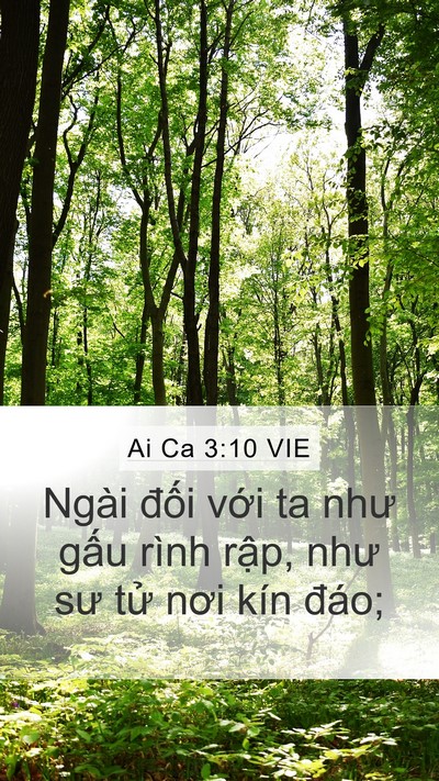 Ai Ca 3:10 VIE Bible Verse Image