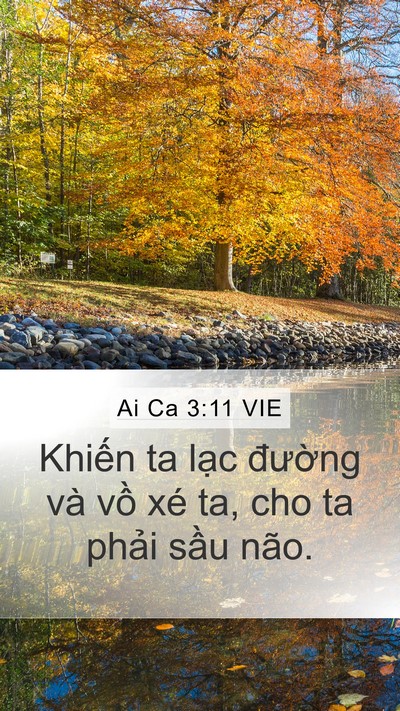 Ai Ca 3:11 VIE Bible Verse Image