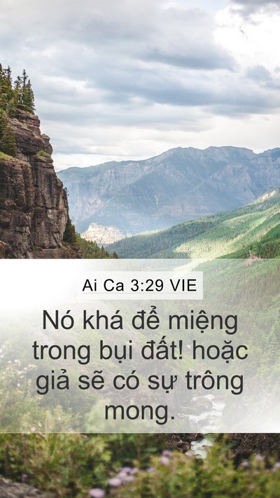 Ai Ca 3:29 VIE Bible Verse Image