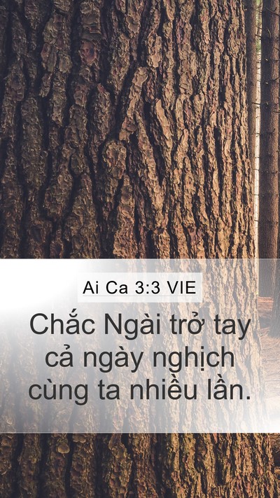 Ai Ca 3:3 VIE Mobile Phone Wallpaper - Chắc Ngài trở tay cả ngày nghịch cùng - Mobile Bible Verse Wallpaper