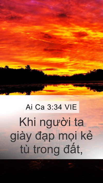 Ai Ca 3:34 VIE Bible Verse Image