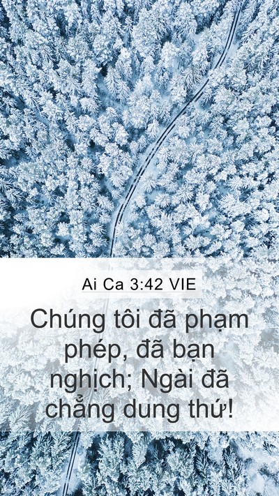 Ai Ca 3:42 VIE Bible Verse Image