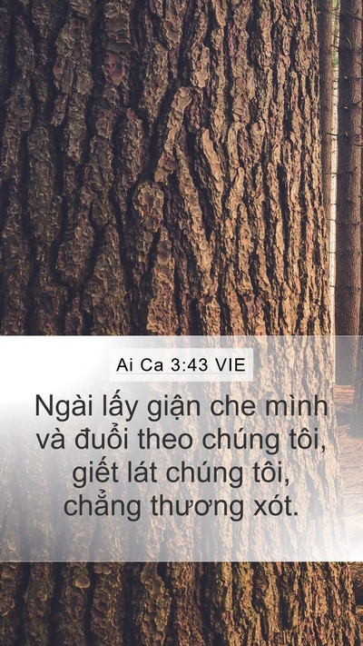 Ai Ca 3:43 VIE Bible Verse Image