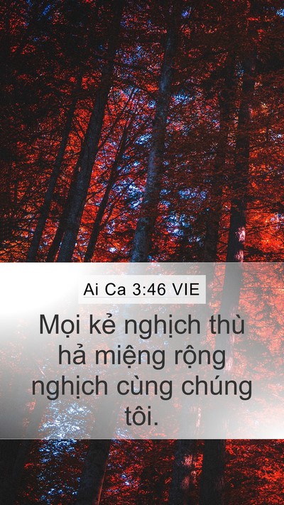 Ai Ca 3:46 VIE Bible Verse Image