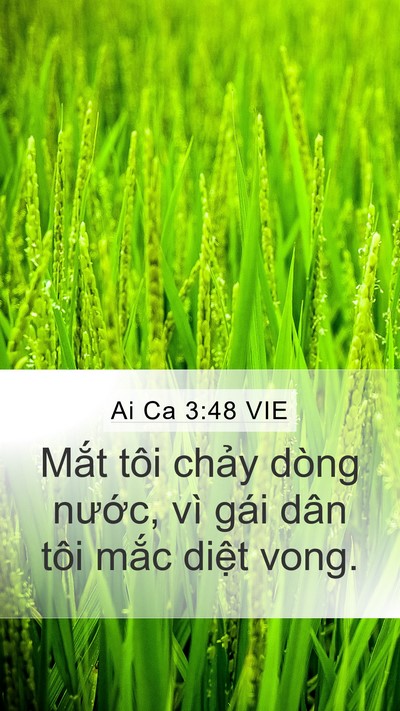 Ai Ca 3:48 VIE Bible Verse Image