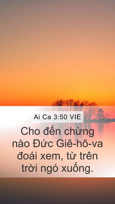 Ai Ca 3:50 VIE Bible Verse Image