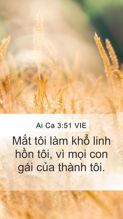Ai Ca 3:51 VIE Bible Verse Image
