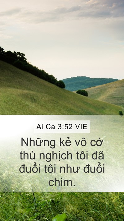 Ai Ca 3:52 VIE Bible Verse Image
