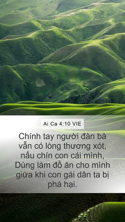 Ai Ca 4:10 VIE Bible Verse Image