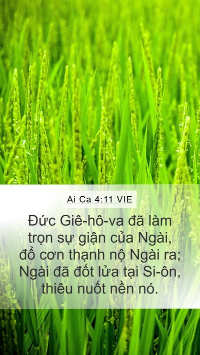 Ai Ca 4:11 VIE Bible Verse Image