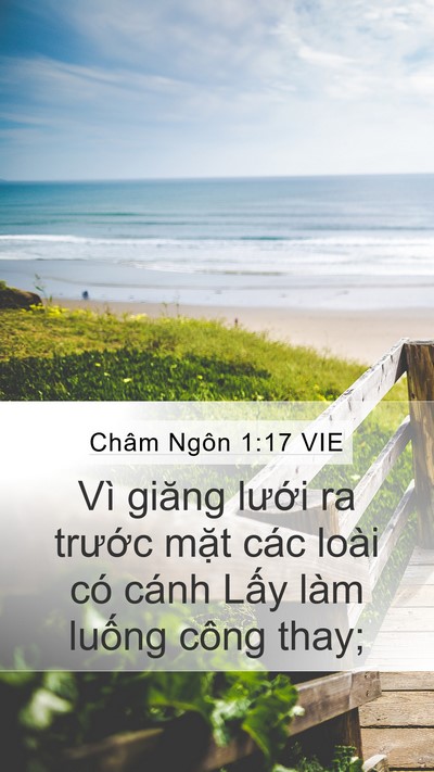 Châm Ngôn 1:17 VIE Bible Verse Image