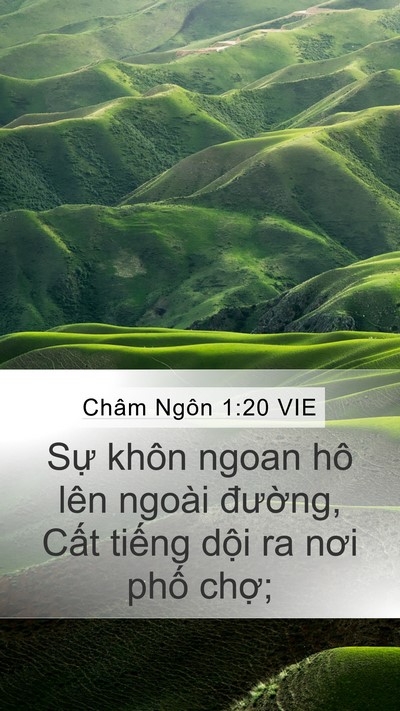 Châm Ngôn 1:20 VIE Bible Verse Image
