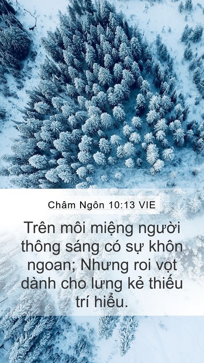 Châm Ngôn 10:13 VIE Bible Verse Image