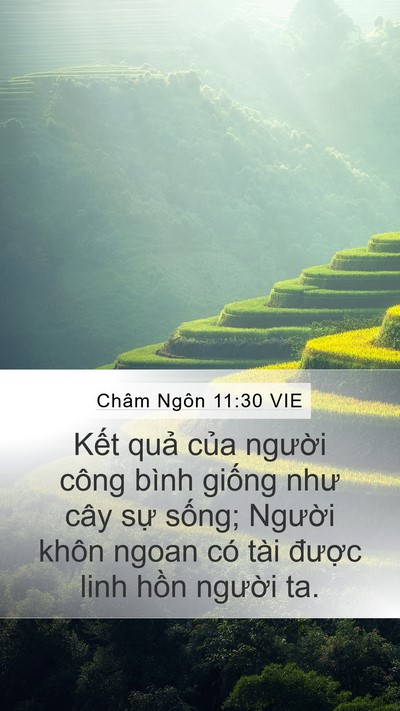 Châm Ngôn 11:30 VIE Bible Verse Image