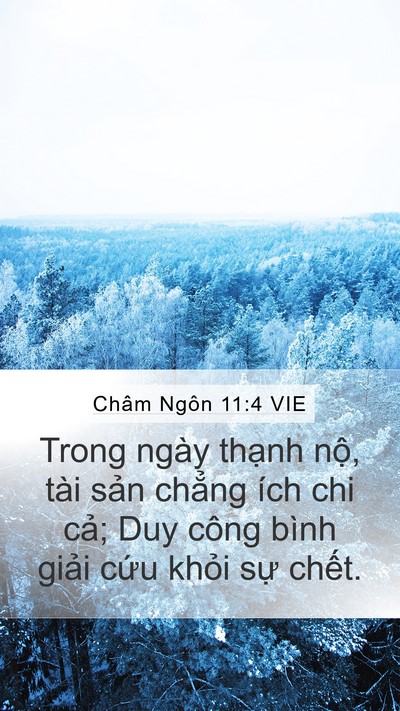 Châm Ngôn 11:4 VIE Bible Verse Image