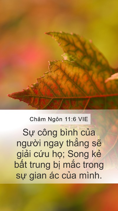 Châm Ngôn 11:6 VIE Mobile Phone Wallpaper - Sự công bình của người ngay thẳng sẽ - Mobile Bible Verse Wallpaper