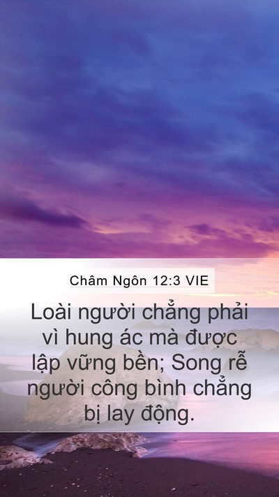 Châm Ngôn 12:3 VIE Bible Verse Image