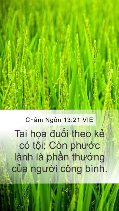 Châm Ngôn 13:21 VIE Bible Verse Image