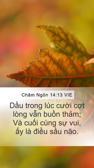 Châm Ngôn 14:13 VIE Bible Verse Image