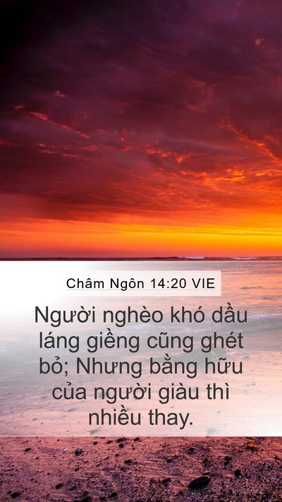 Châm Ngôn 14:20 VIE Bible Verse Image