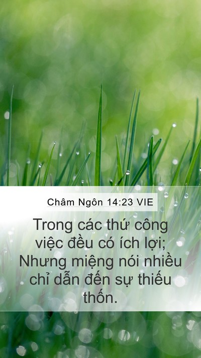 Châm Ngôn 14:23 VIE Bible Verse Image