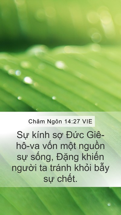 Châm Ngôn 14:27 VIE Bible Verse Image
